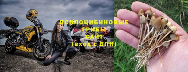 МДПВ Алзамай