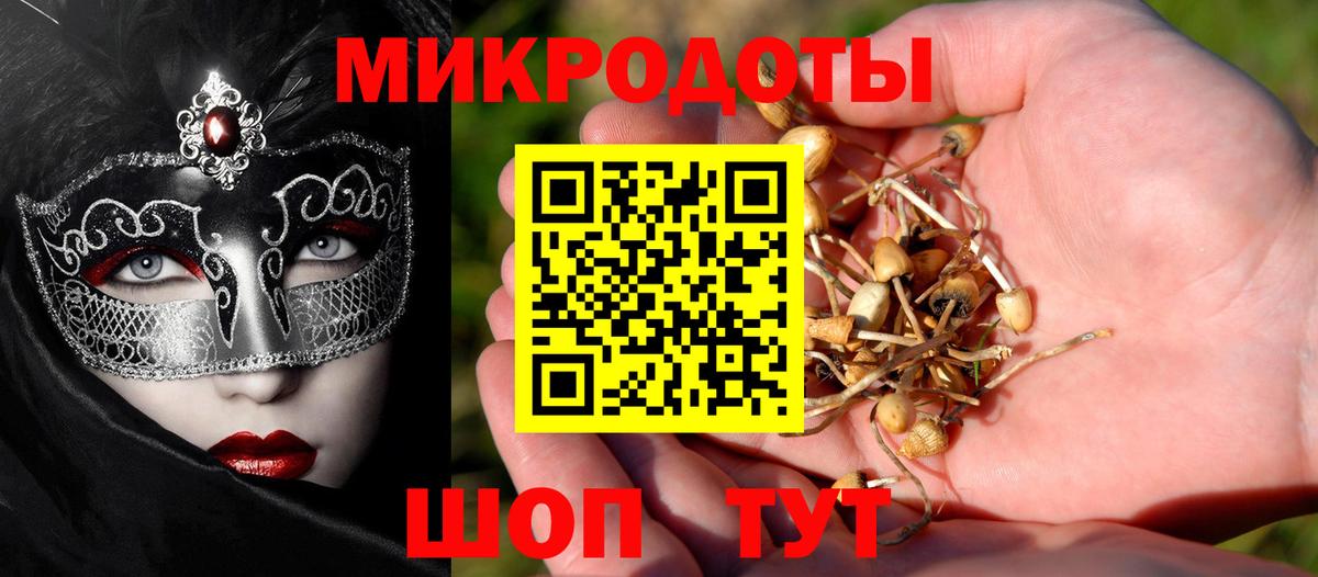 Псилоцибиновые грибы Psilocybe Миллерово