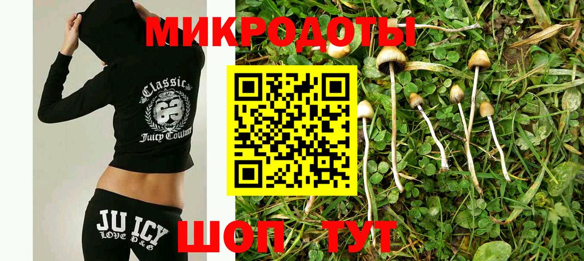 Псилоцибиновые грибы Psilocybine cubensis  Вход с VPN  Миллерово 